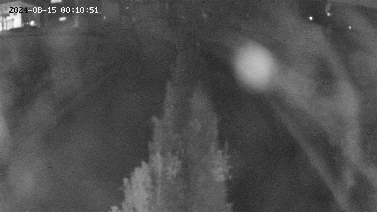 area11-20240815001051.jpg