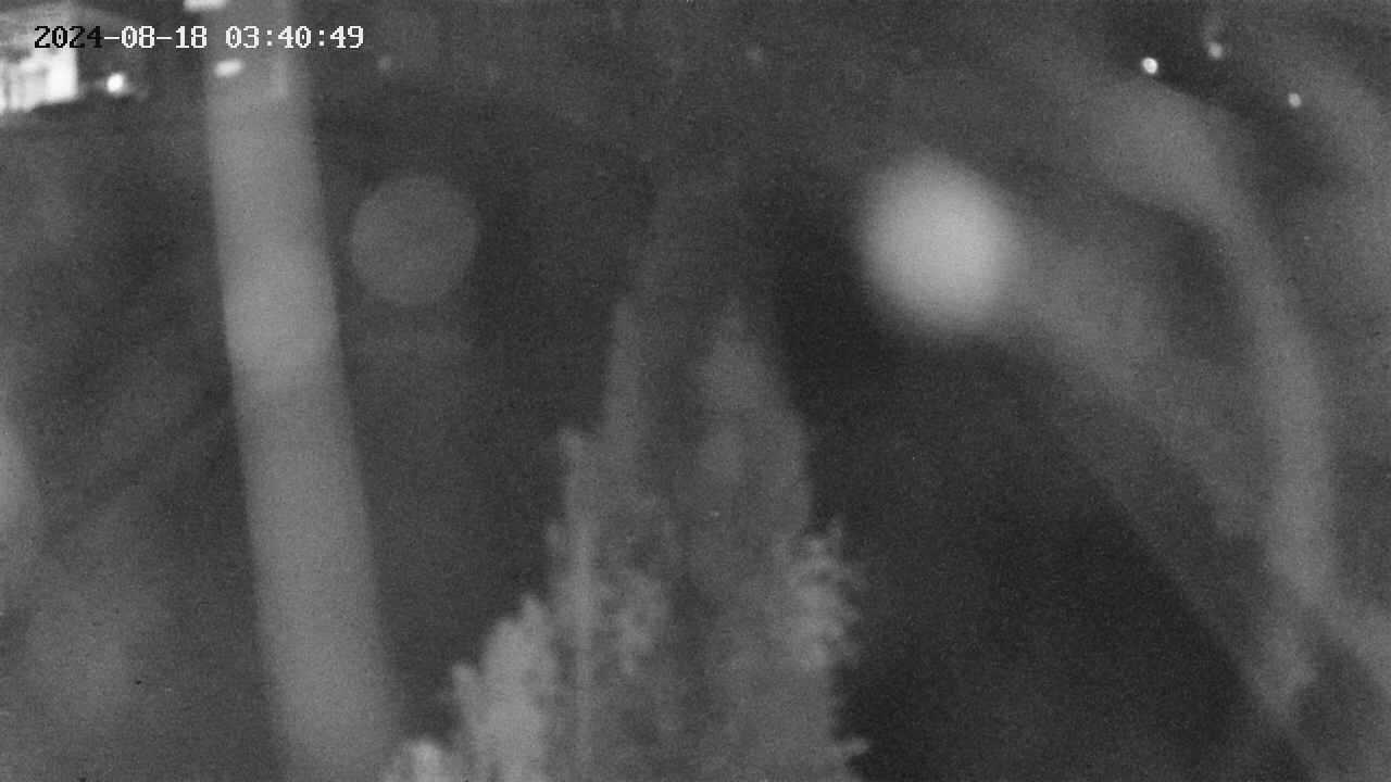 area11-20240818034050.jpg