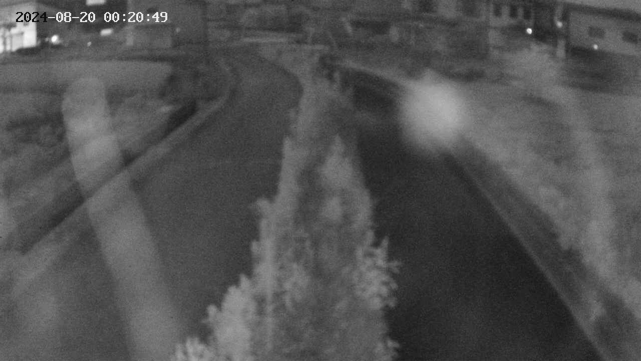 area11-20240820002050.jpg