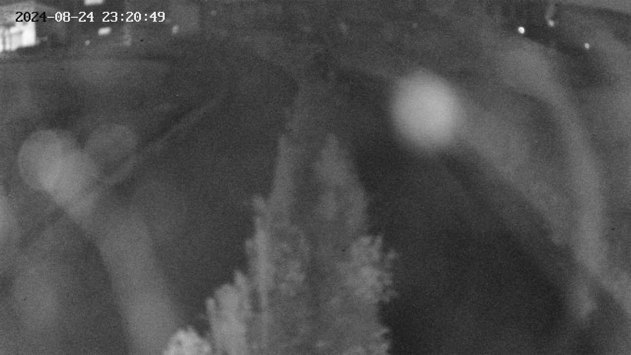 area11-20240824232050.jpg