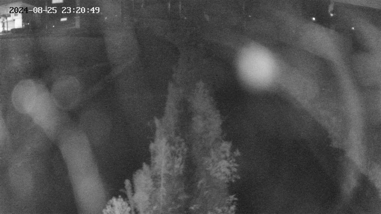 area11-20240825232050.jpg