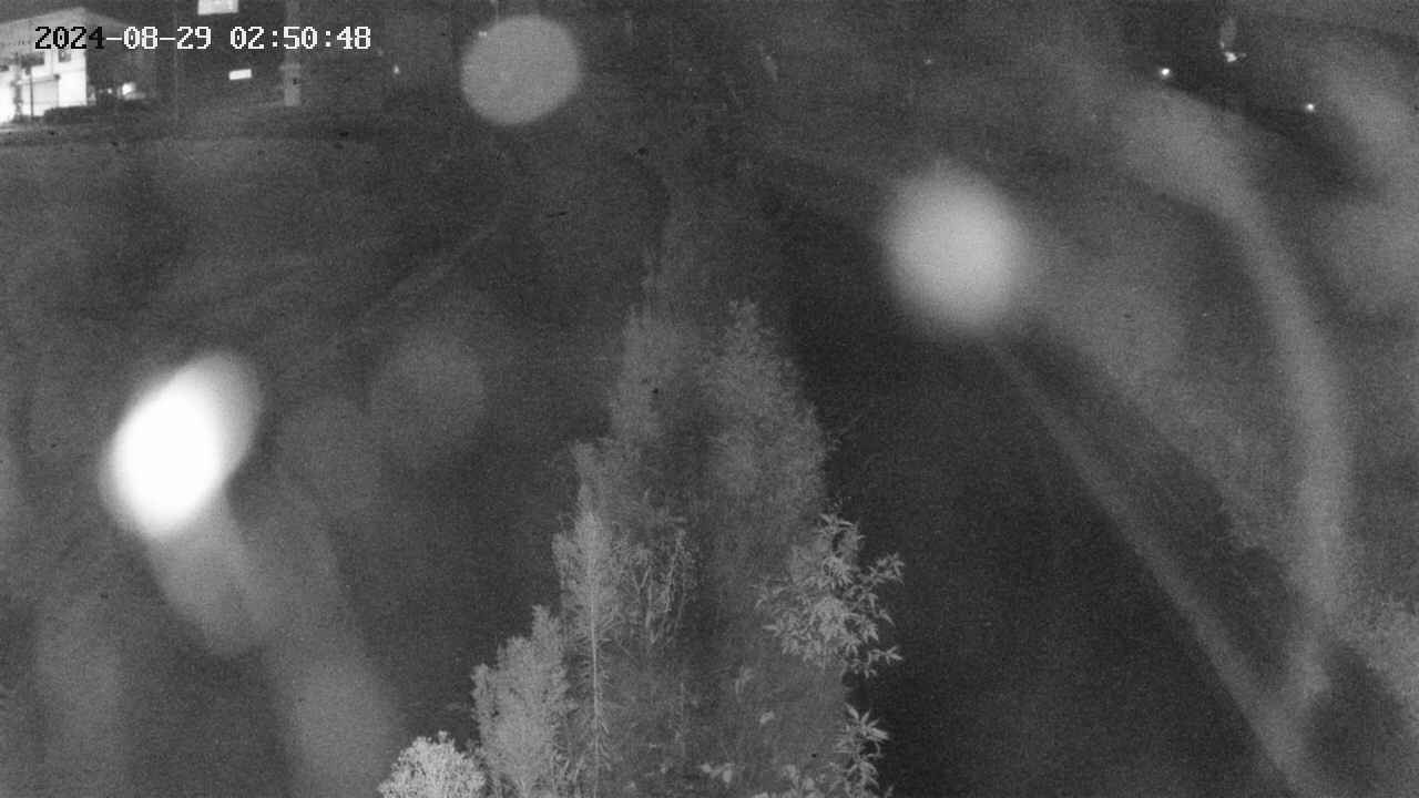 area11-20240829025049.jpg