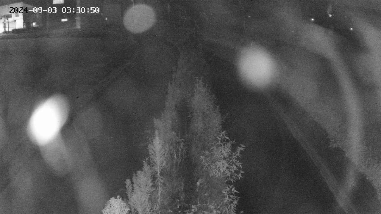area11-20240903033051.jpg