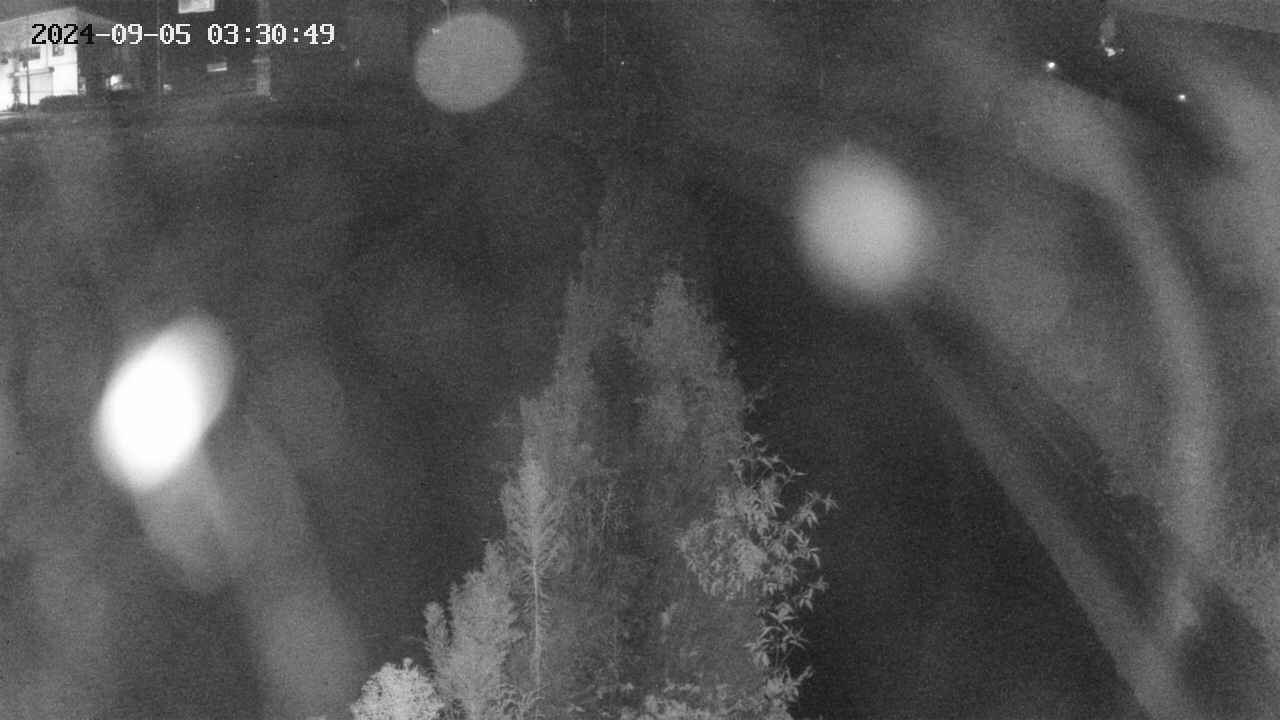 area11-20240905033051.jpg