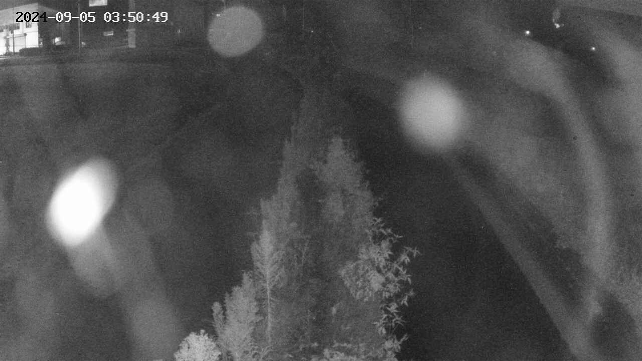 area11-20240905035050.jpg