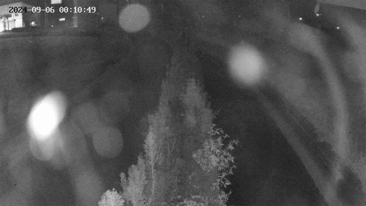 area11-20240906001050.jpg