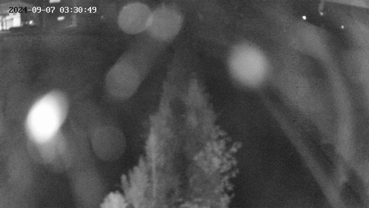 area11-20240907033050.jpg