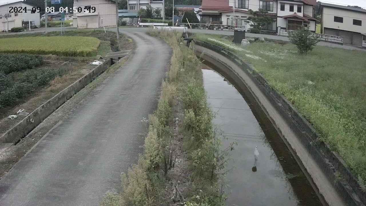 area11-20240908045051.jpg