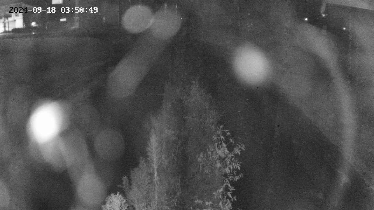 area11-20240918035050.jpg