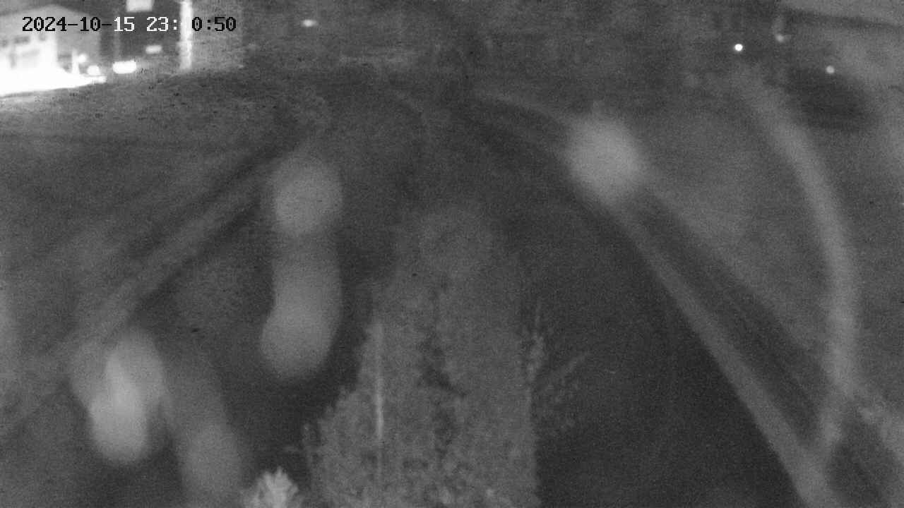 area11-20241015234051.jpg