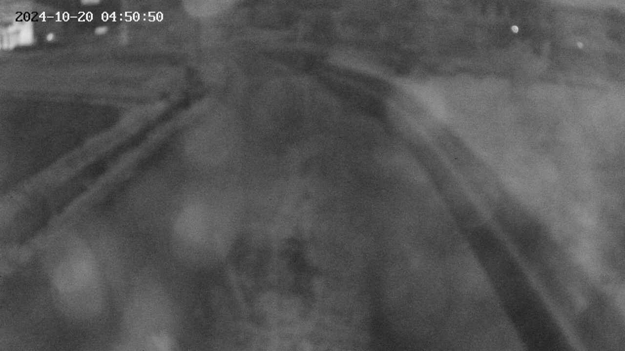 area11-20241020045051.jpg