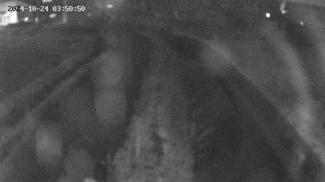 area11-20241024035052.jpg