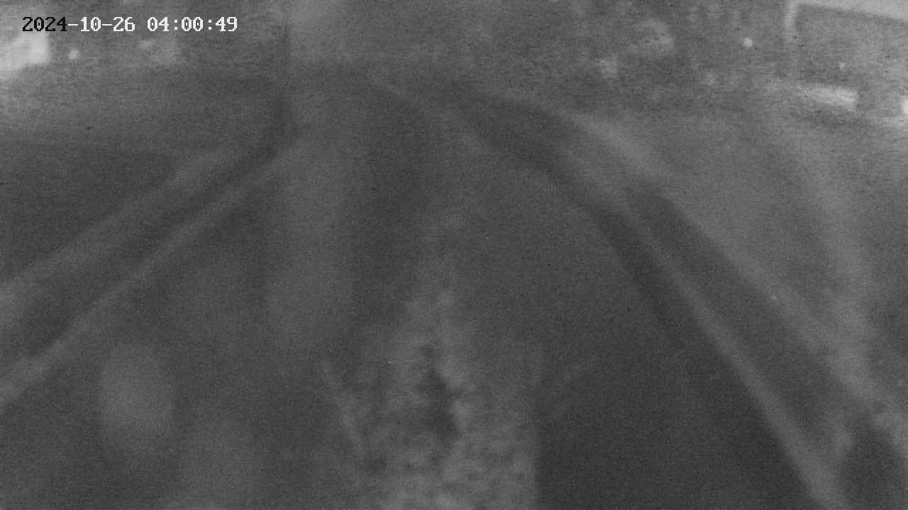 area11-20241026040050.jpg