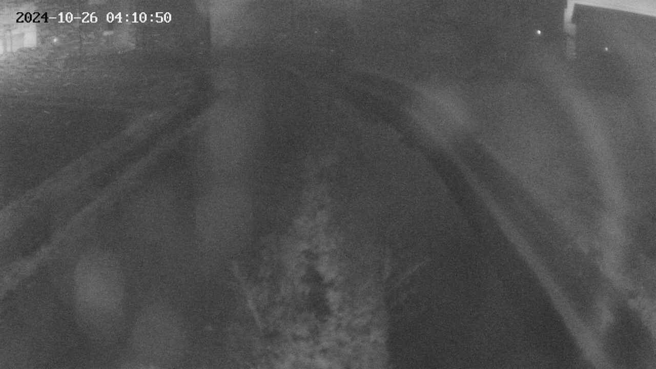 area11-20241026041050.jpg