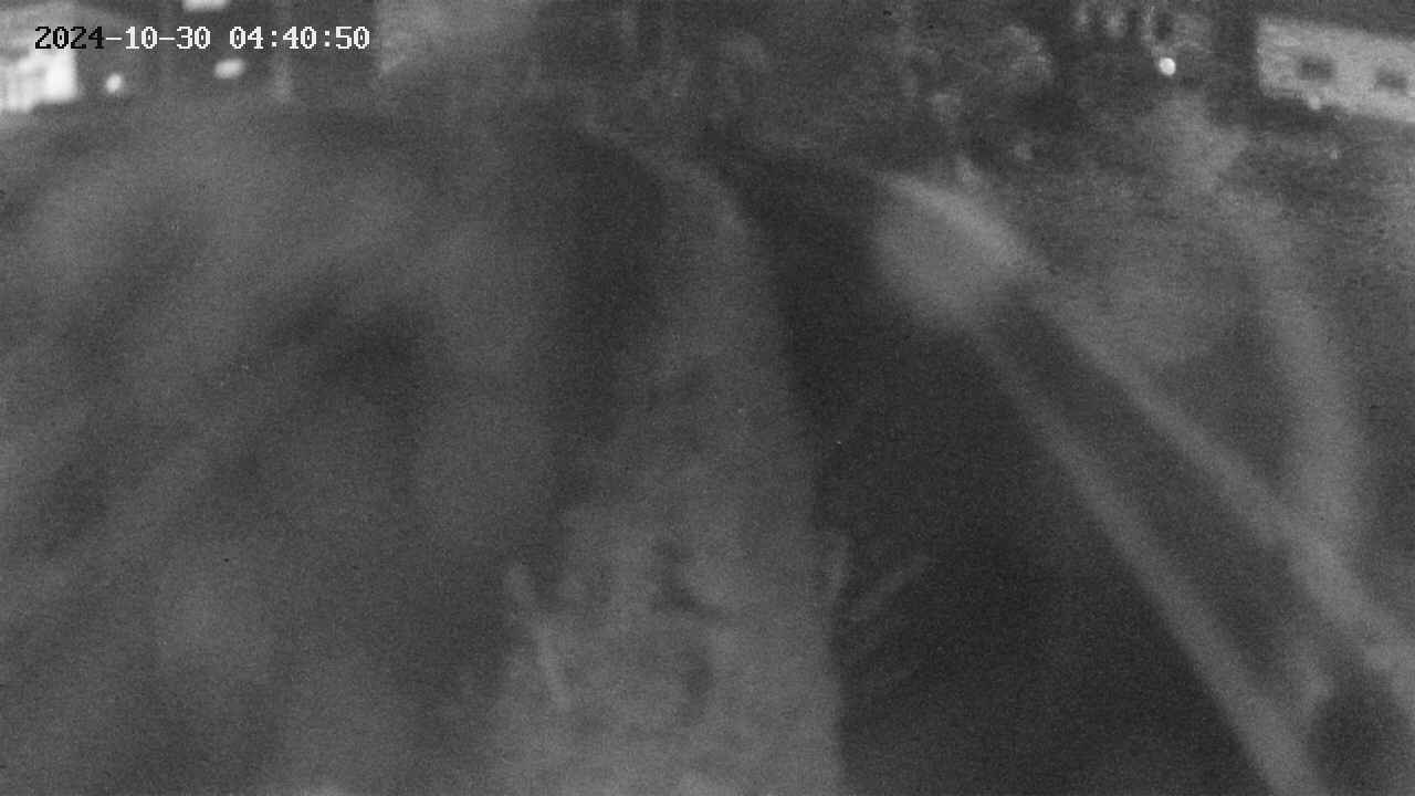area11-20241030044051.jpg