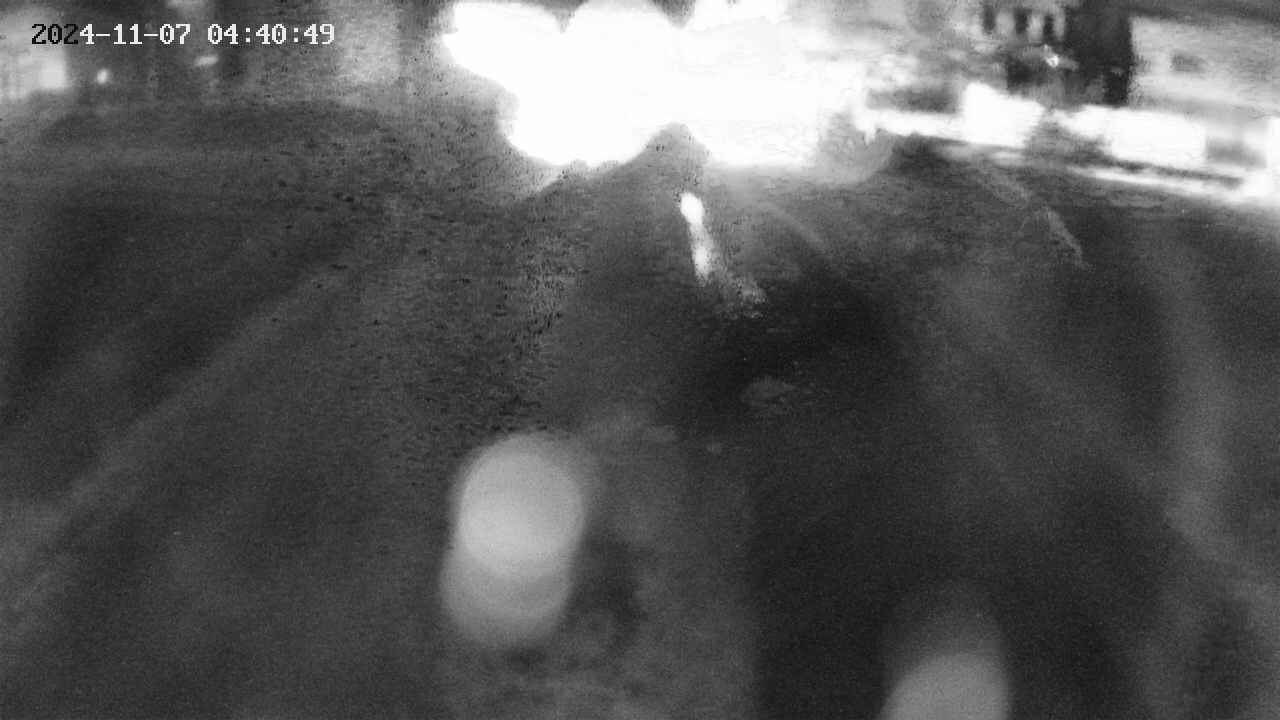 area11-20241107044051.jpg