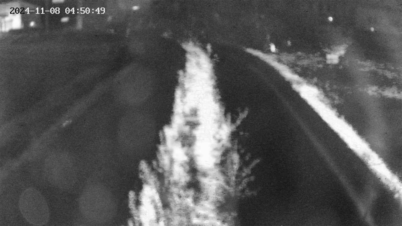 area11-20241108045050.jpg