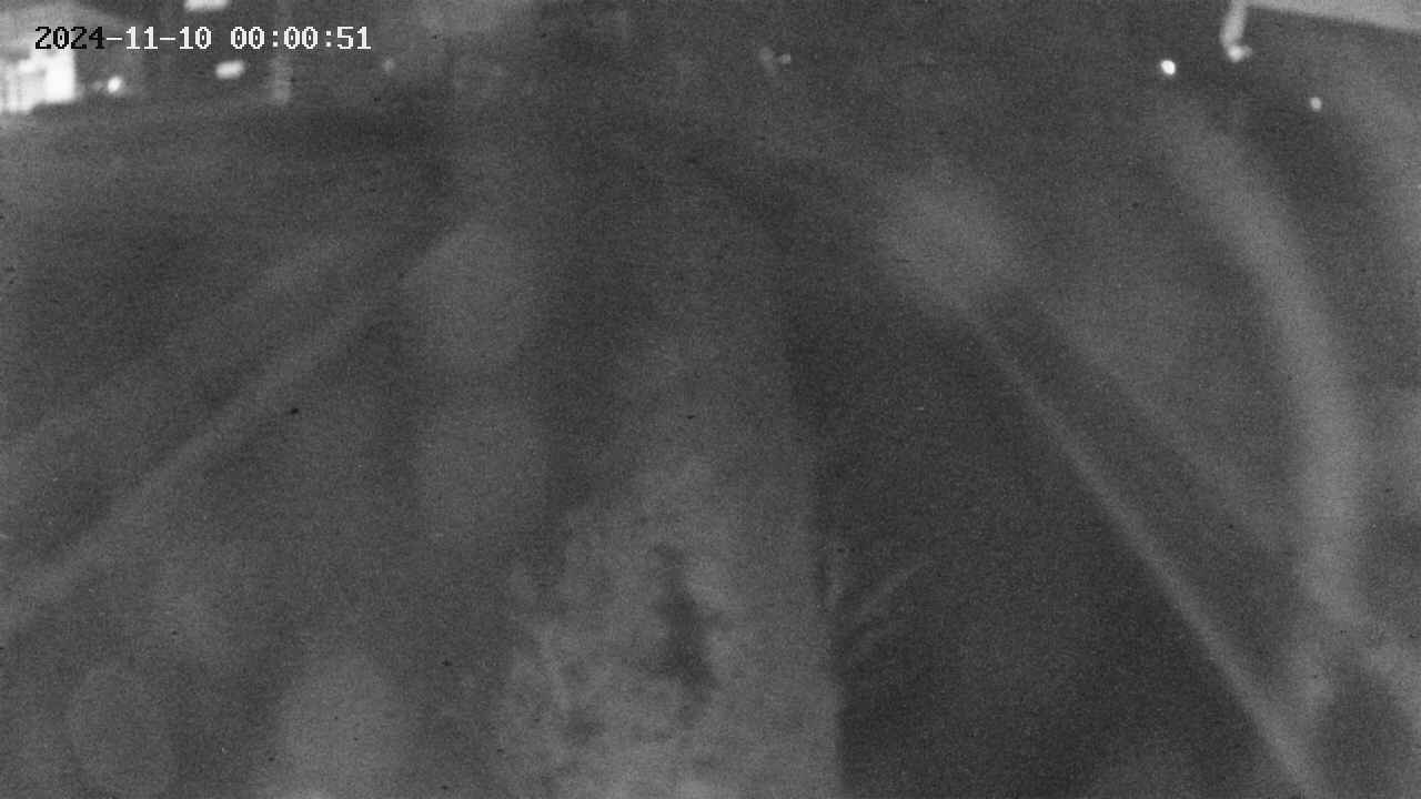 area11-20241110000051.jpg