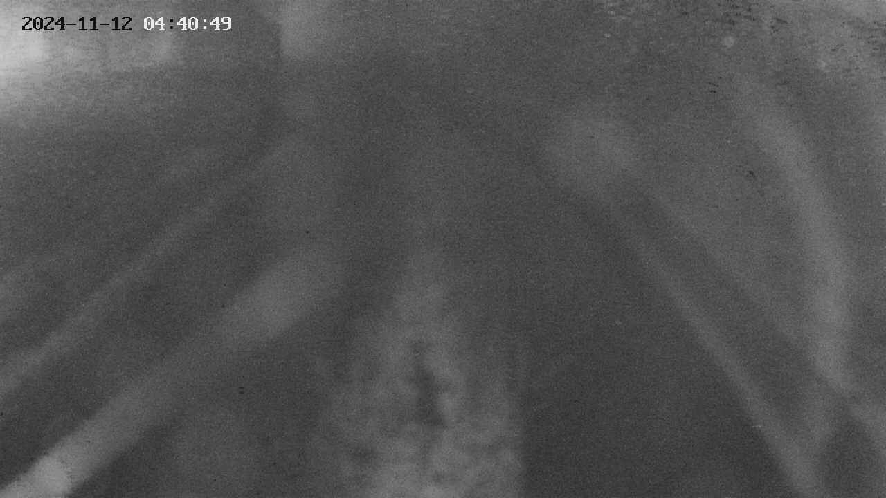 area11-20241112044051.jpg