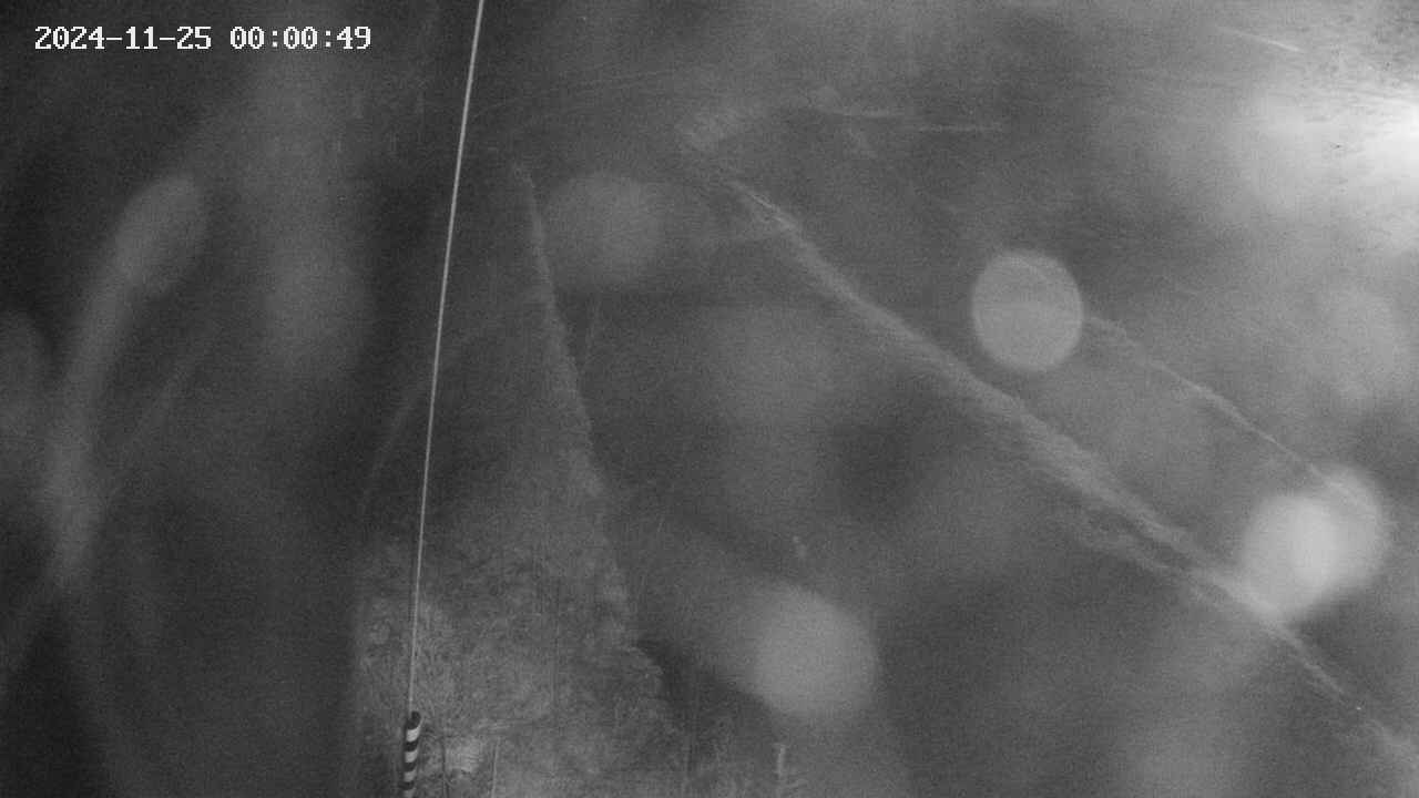 area11-20241125000051.jpg