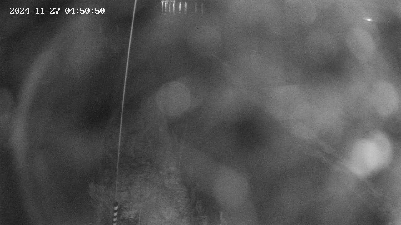 area11-20241127045050.jpg