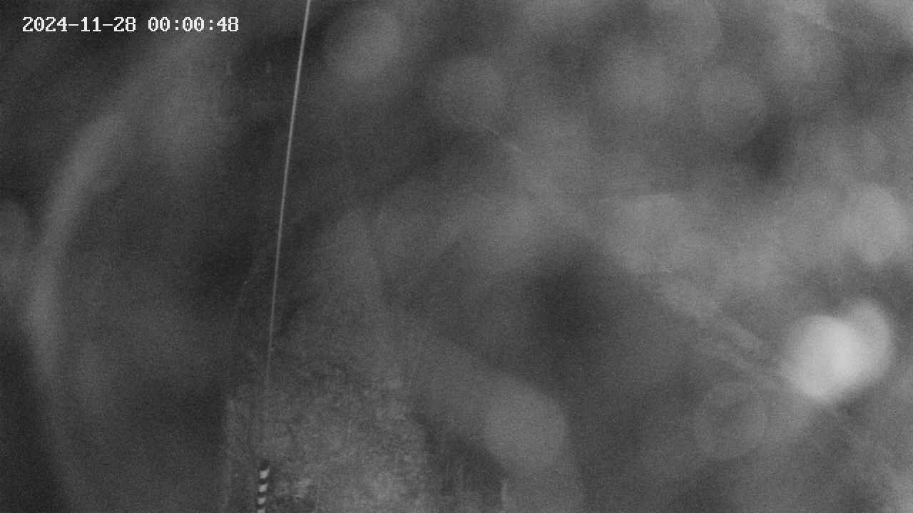 area11-20241128000050.jpg