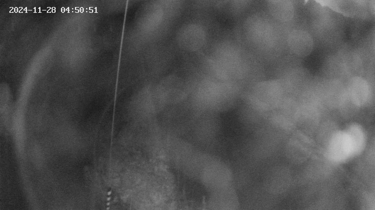 area11-20241128045052.jpg