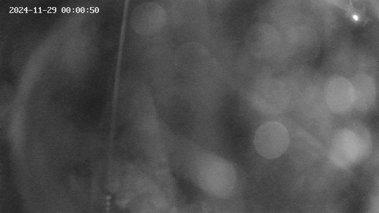 area11-20241129000052.jpg
