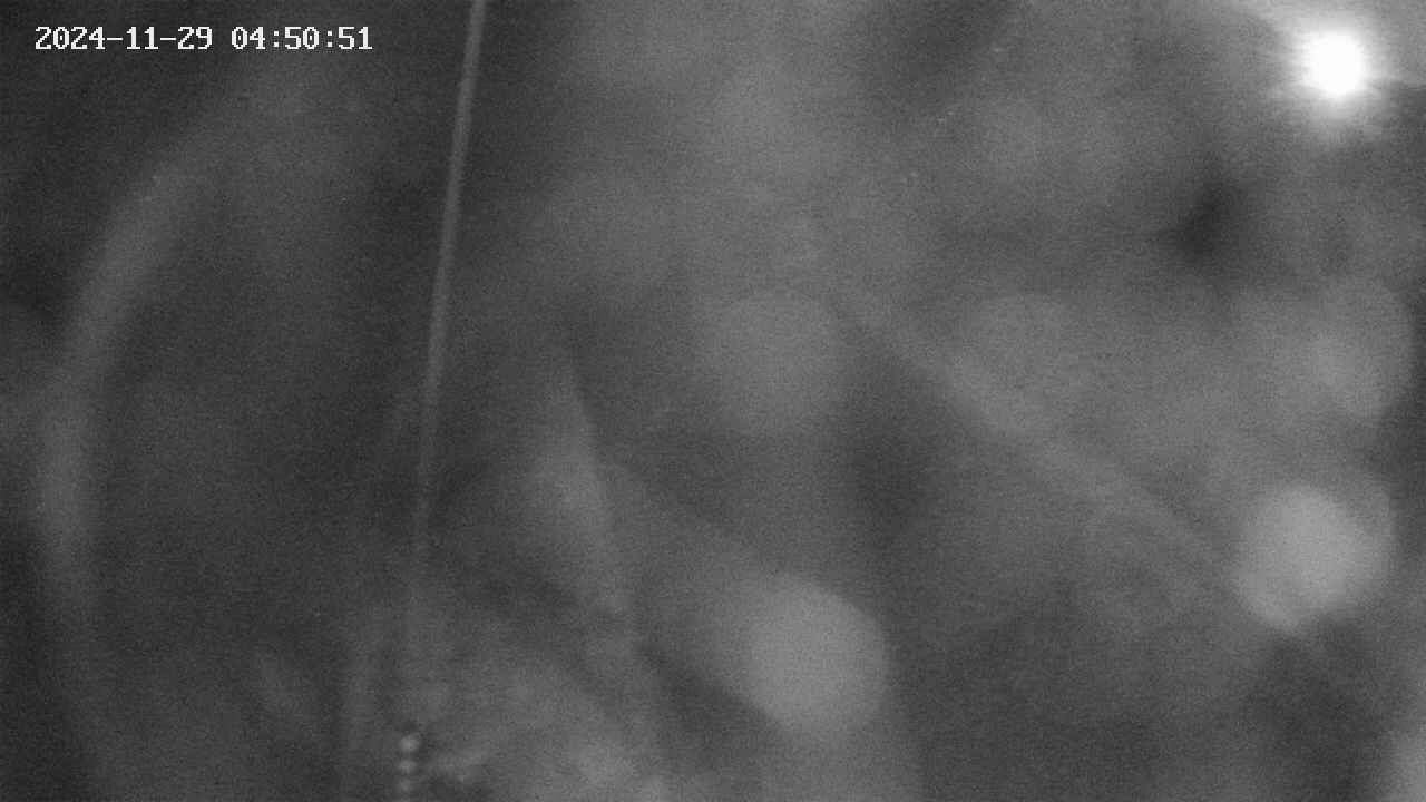 area11-20241129045051.jpg