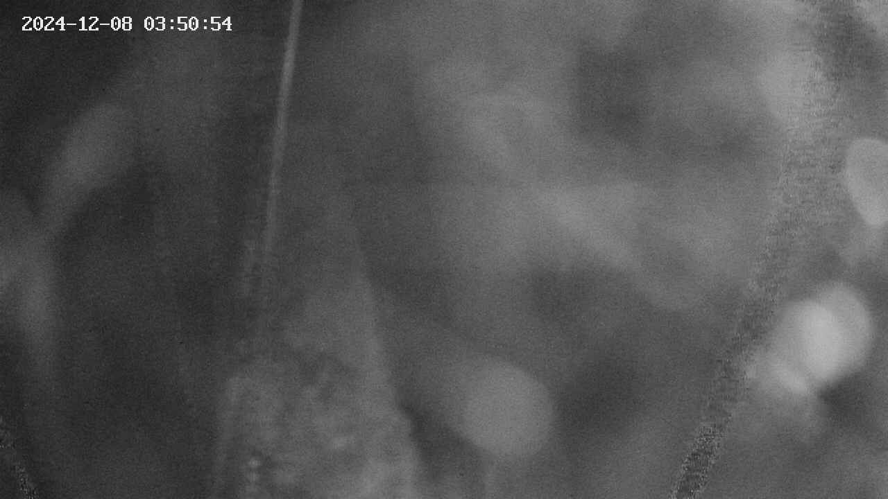 area11-20241208035054.jpg