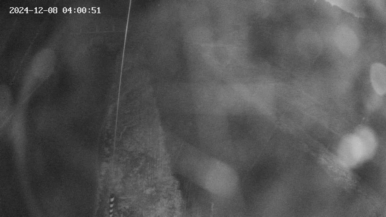 area11-20241208040051.jpg
