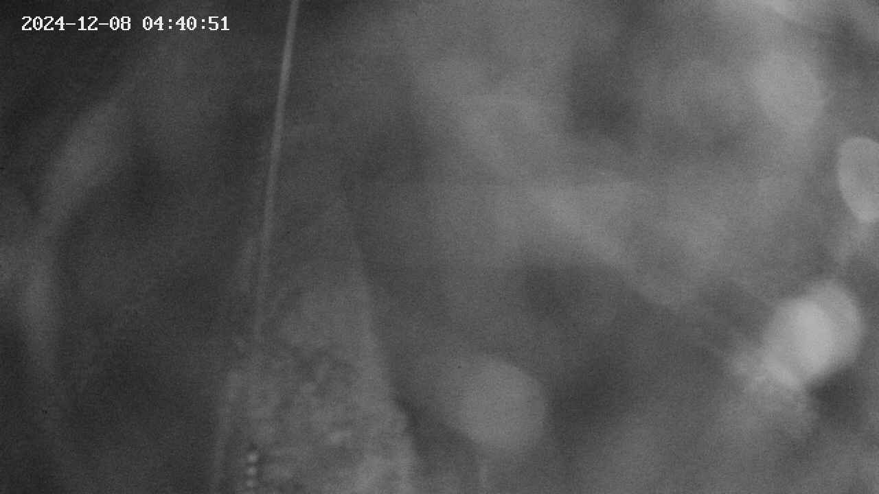 area11-20241208044051.jpg