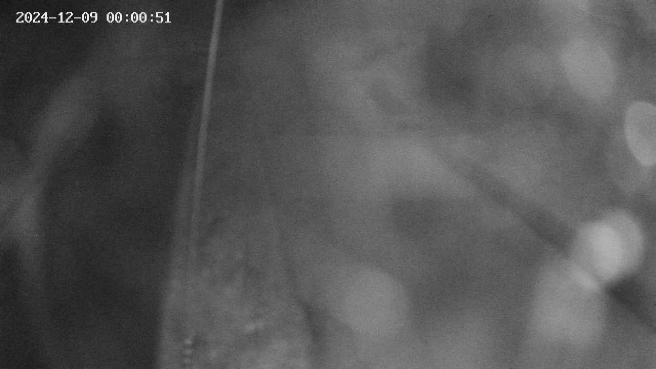area11-20241209000053.jpg