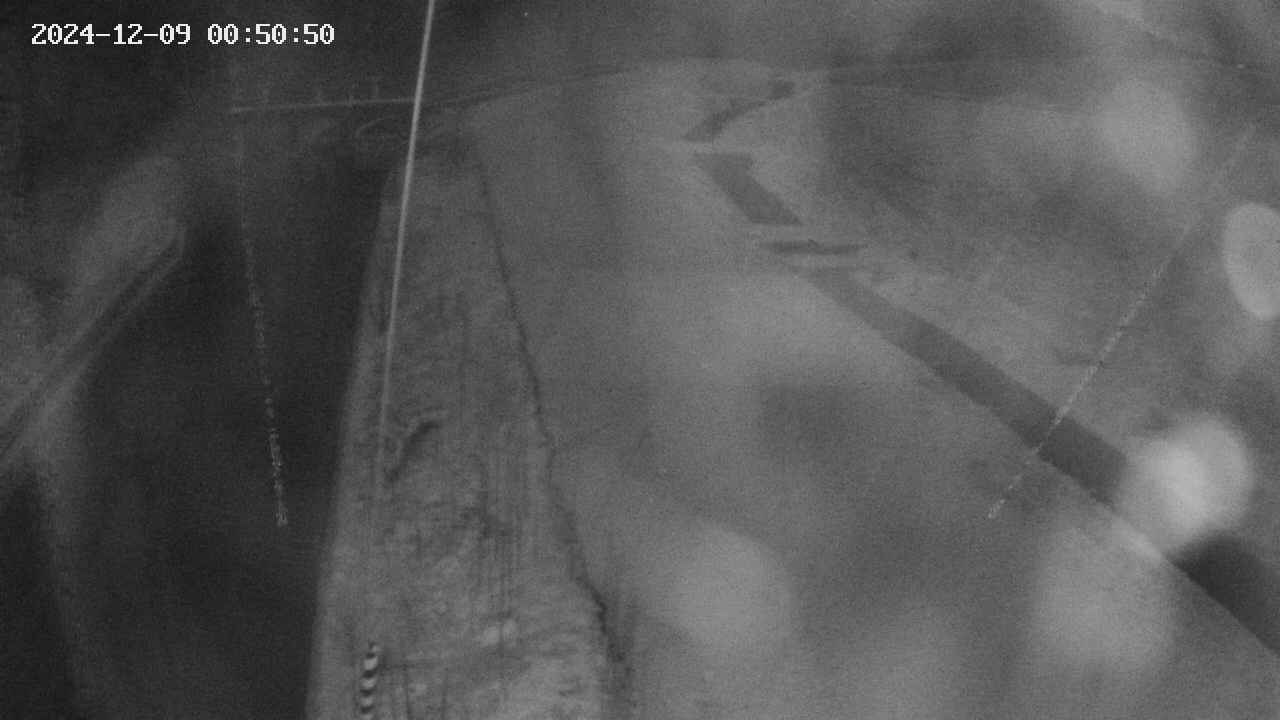 area11-20241209005052.jpg