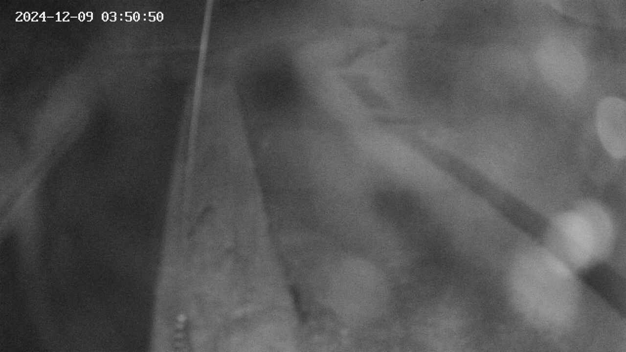 area11-20241209035050.jpg