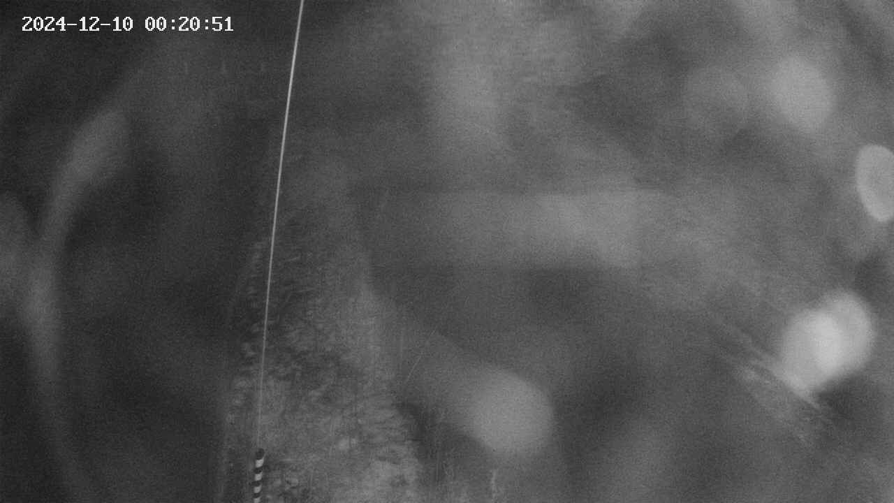 area11-20241210002052.jpg