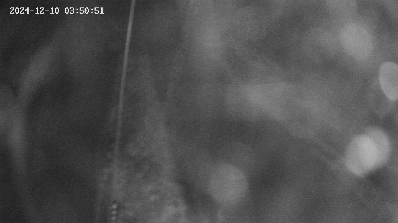 area11-20241210035051.jpg
