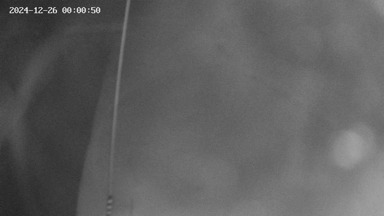 area11-20241226000051.jpg