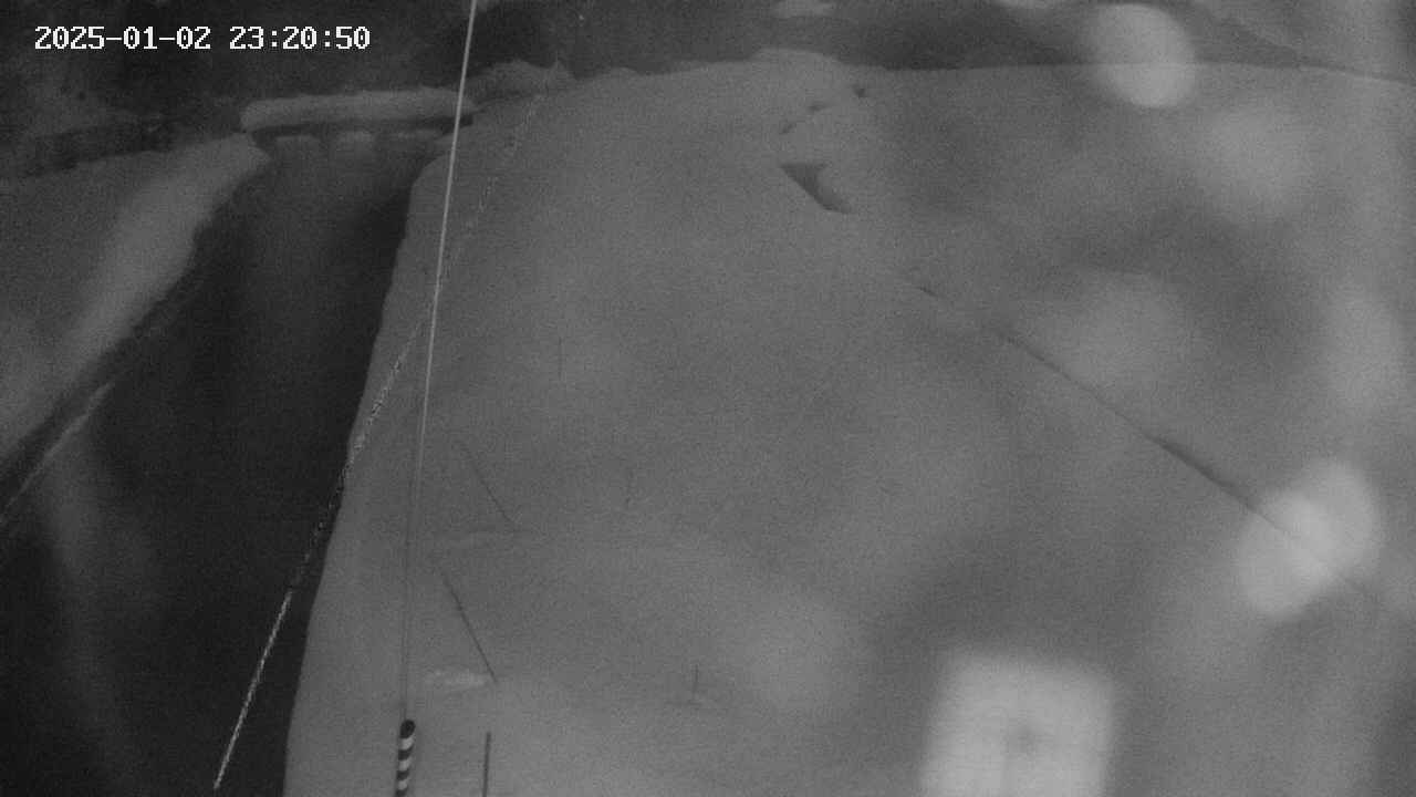 area11-20250102232050.jpg