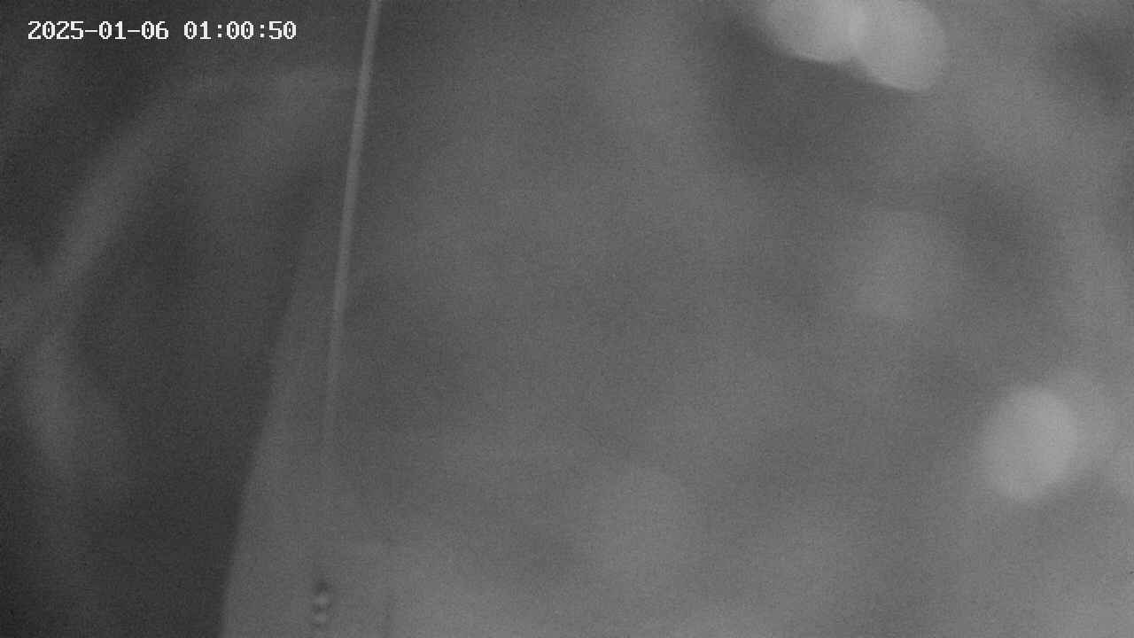 area11-20250106010051.jpg