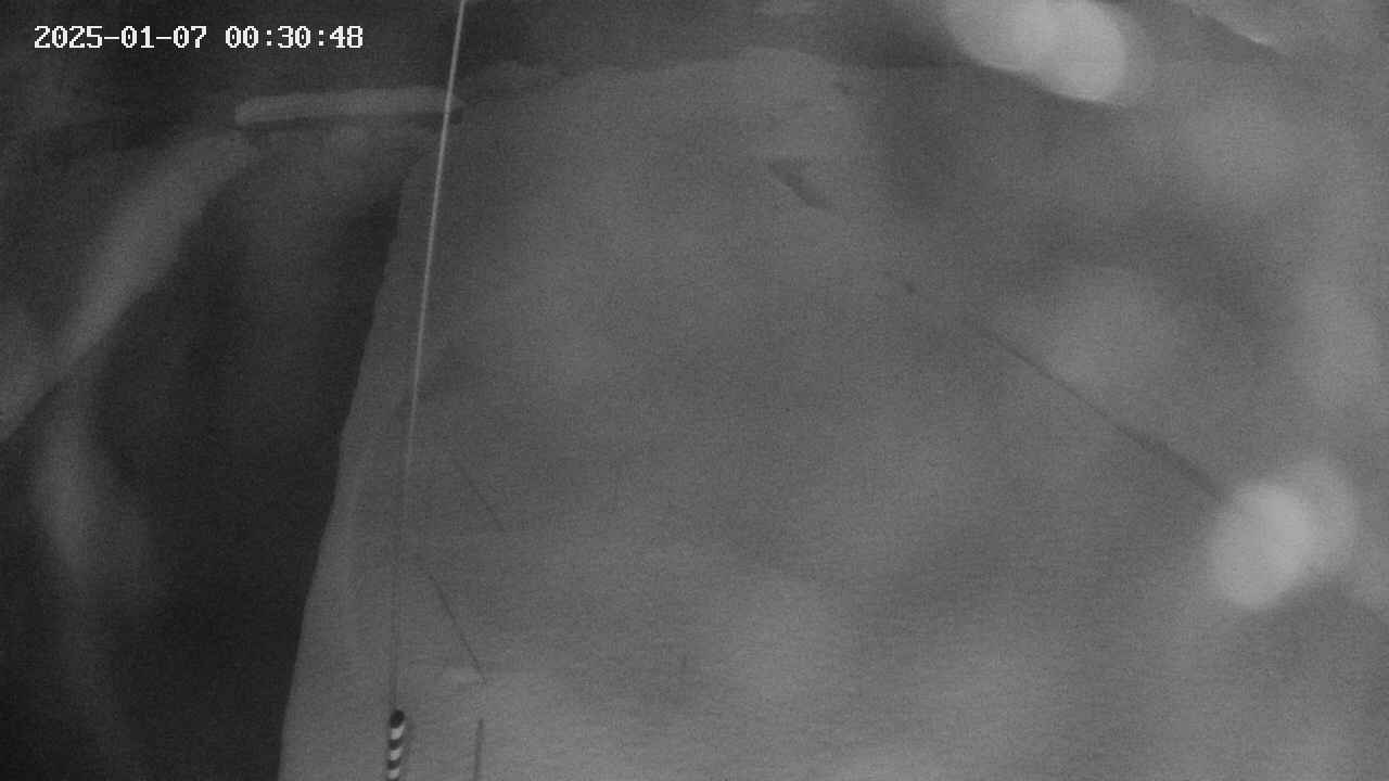 area11-20250107003049.jpg