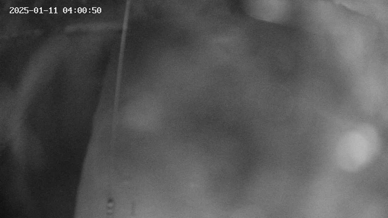 area11-20250111040051.jpg