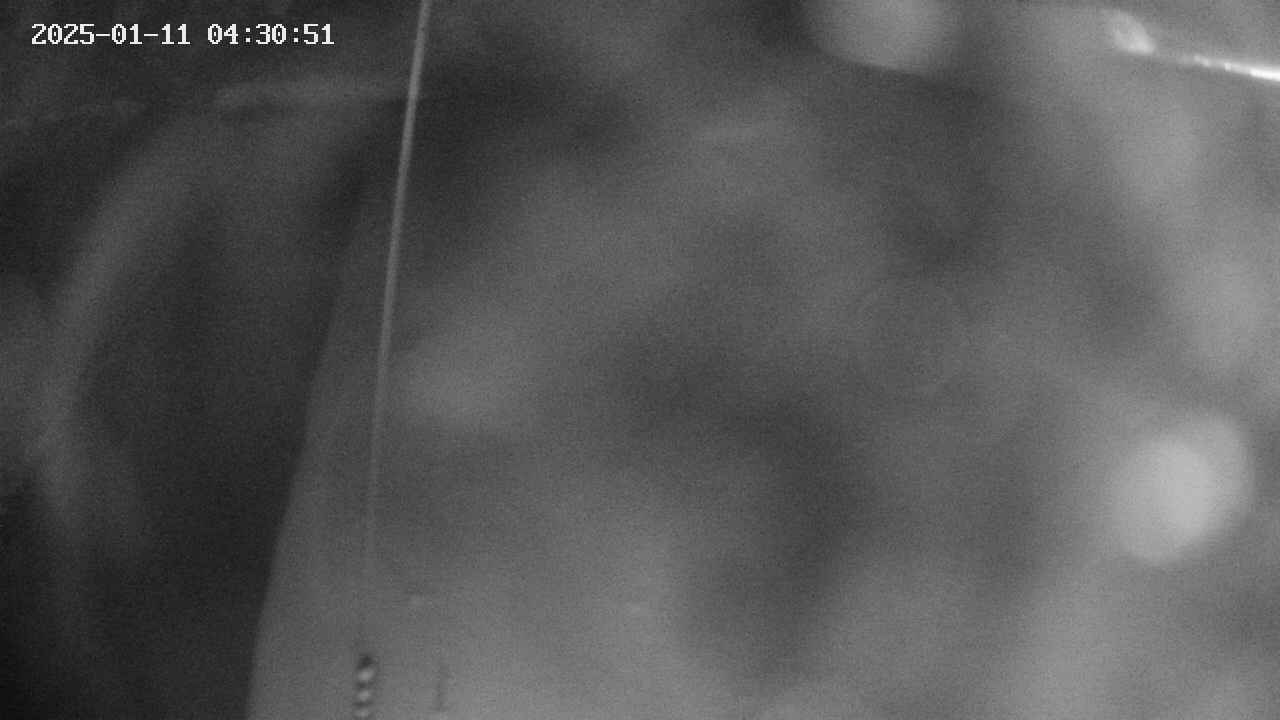 area11-20250111043052.jpg