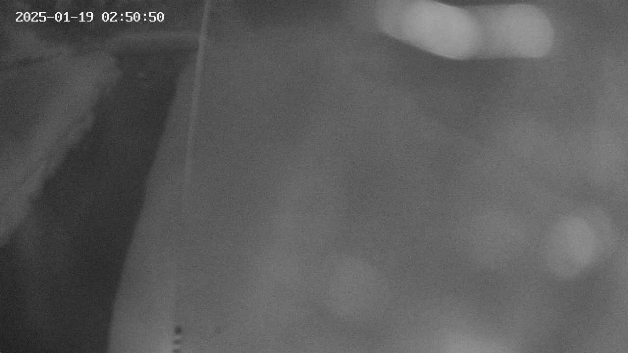 area11-20250119025051.jpg