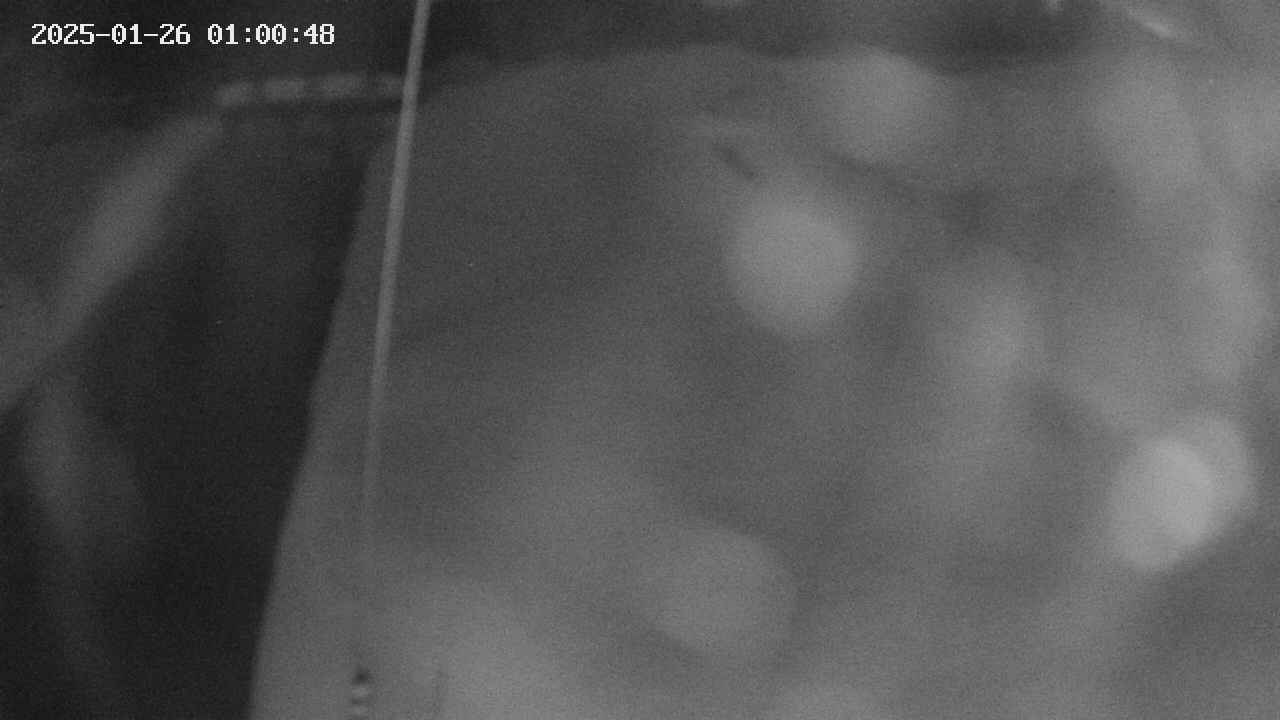 area11-20250126010050.jpg