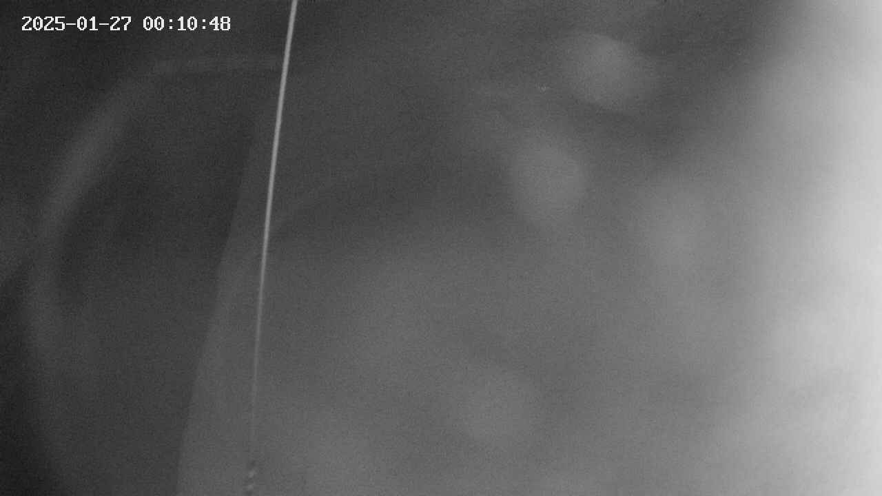 area11-20250127001049.jpg