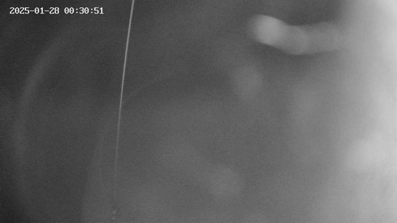 area11-20250128003052.jpg