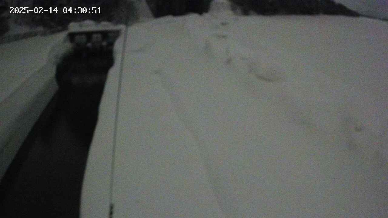 area11-20250214043051.jpg