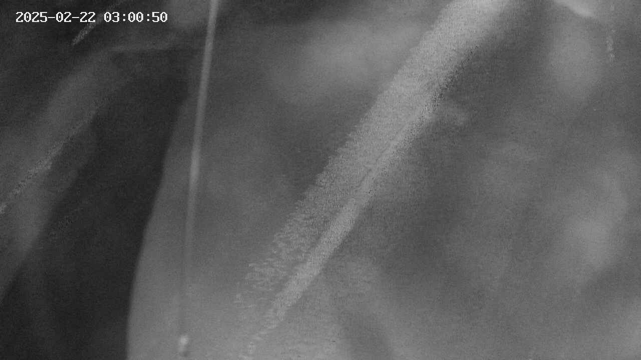 area11-20250222030050.jpg