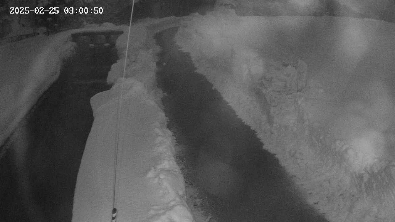 area11-20250225030051.jpg